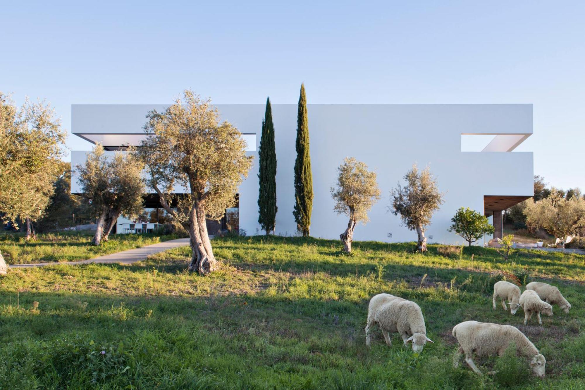 אראיולוס Villa Extramuros מראה חיצוני תמונה